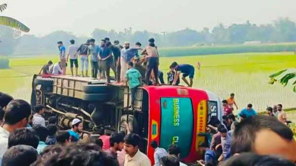 ইবির বাস উল্টে পড়ে গেল ধানখেতে, আহত ২০