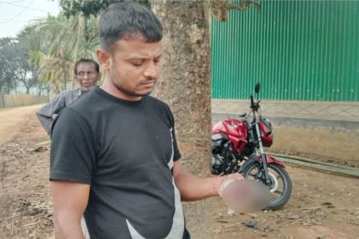 গরুর জিহ্বা কেটে দিল দুর্বৃত্তরা