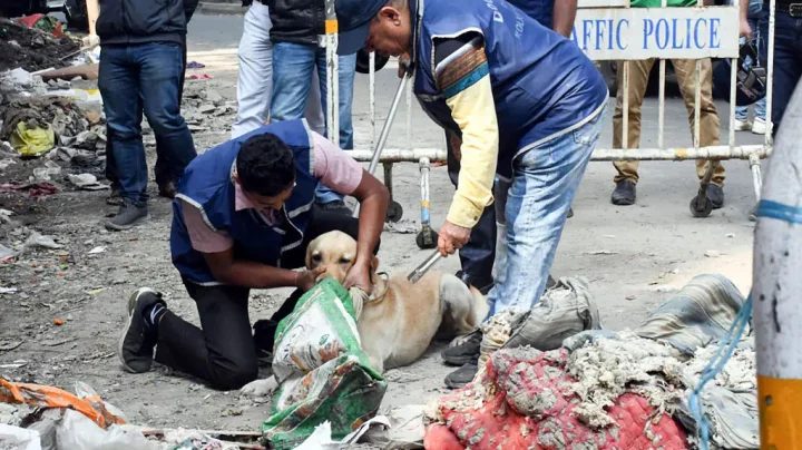 প্রেমের প্রস্তাবে রাজি না হওয়ায় শ্যালিকাকে তিন টুকরা করলেন দুলাভাই