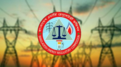 বিদ্যুতের পাইকারি দাম বাড়ছে