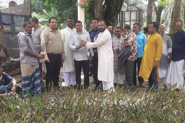 বজ্রপাত রোধে ১০ হাজার তালগাছের চারা রোপণ
