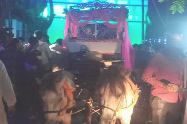 ঘোড়ার গাড়িতে করে দুবাই প্রবাসীর বিয়ে