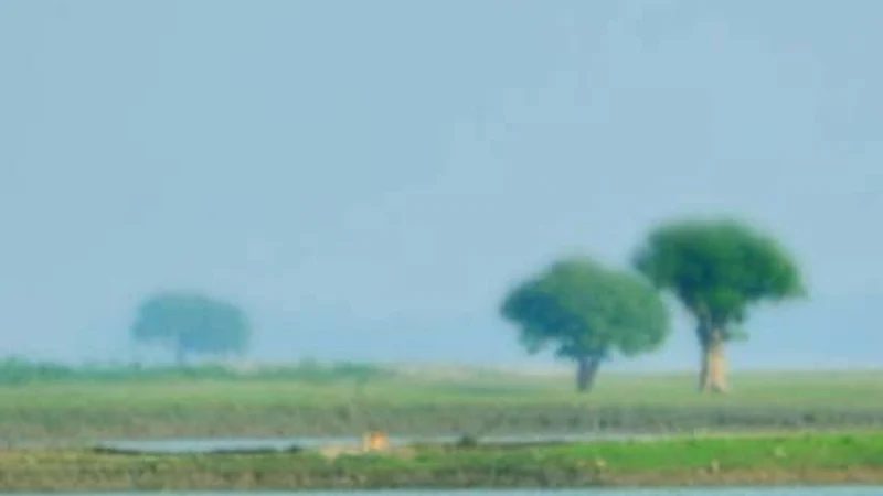 বজ্রাঘাতে কুরআনের হাফেজসহ দুই যুবকের মৃত্যু