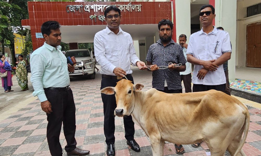 ২৩ বছর কারাভোগের পর মাজেত পেলেন গরু