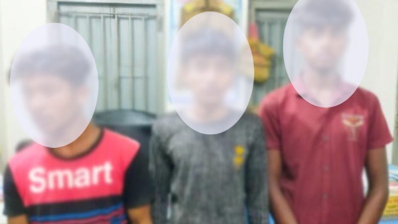 বাকৃবি জার্মপ্লাজম সেন্টারের অর্ধব্যাগ ফলসহ আটক ৩