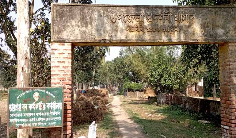 পাঁচবিবিতে সরকারী বন বিভাগের বেহাল অবস্থা: মাদক সেবীদের আখড়ায় পরিণত
