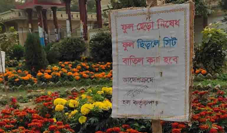 ইবিতে ফুল ছিঁড়লে গুনতে হবে মস্ত মাশুল