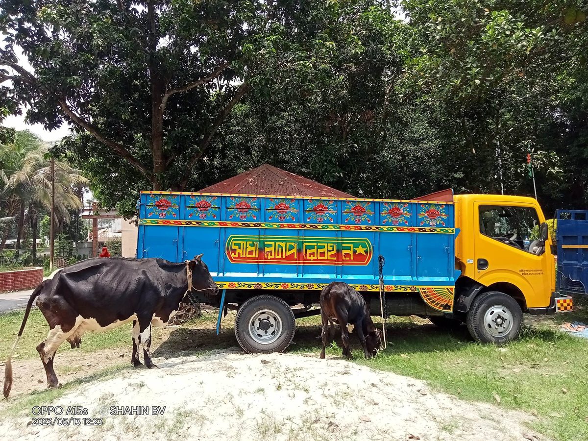 ধাওয়া খেয়ে পানিতে ডুবে 'গরু চোরে'র মৃত্যু, আটক ১