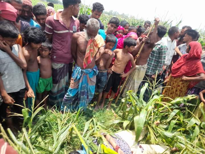 জামালপুরে ভুট্টাক্ষেতে মিলল হাত বাঁধা নারীর মরদেহ