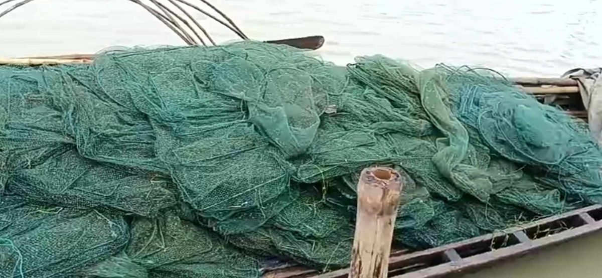 খোকসায় নিষিদ্ধ ‘চায়না দুয়ারি'র ফাঁদে হুমকিতে দেশীয় মাছ
