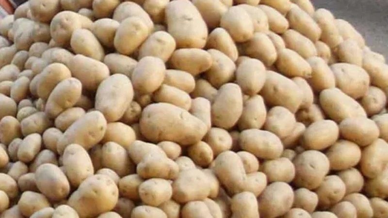 ভারত থেকে এলো ৪৬৮ মেট্রিক টন আলু