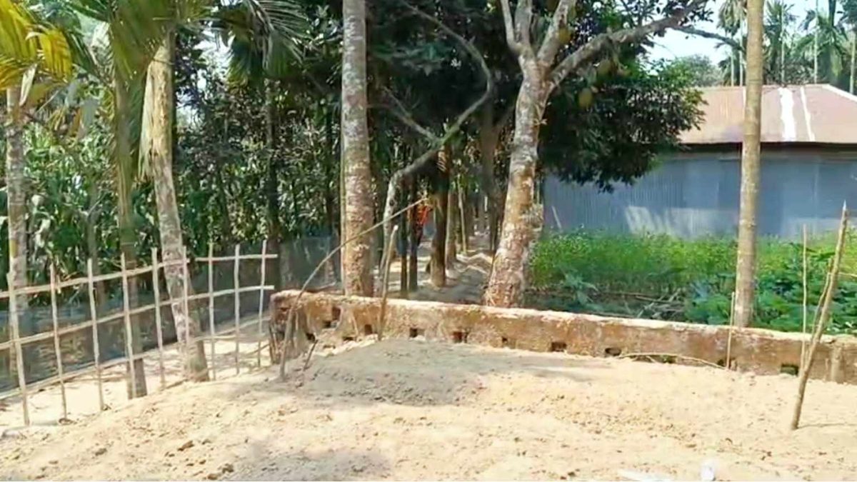 নিজ হাতে পরিষ্কার করা কবরস্থানেই মাটি হলো চাচা-ভাতিজার