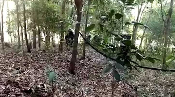 রোহিঙ্গা ক্যাম্পে র‌্যাবের সাঁড়াশি অভিযান