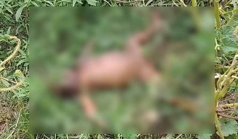 চুরি যাওয়ার দু-দিন পর শিশুর মরদেহ উদ্ধার