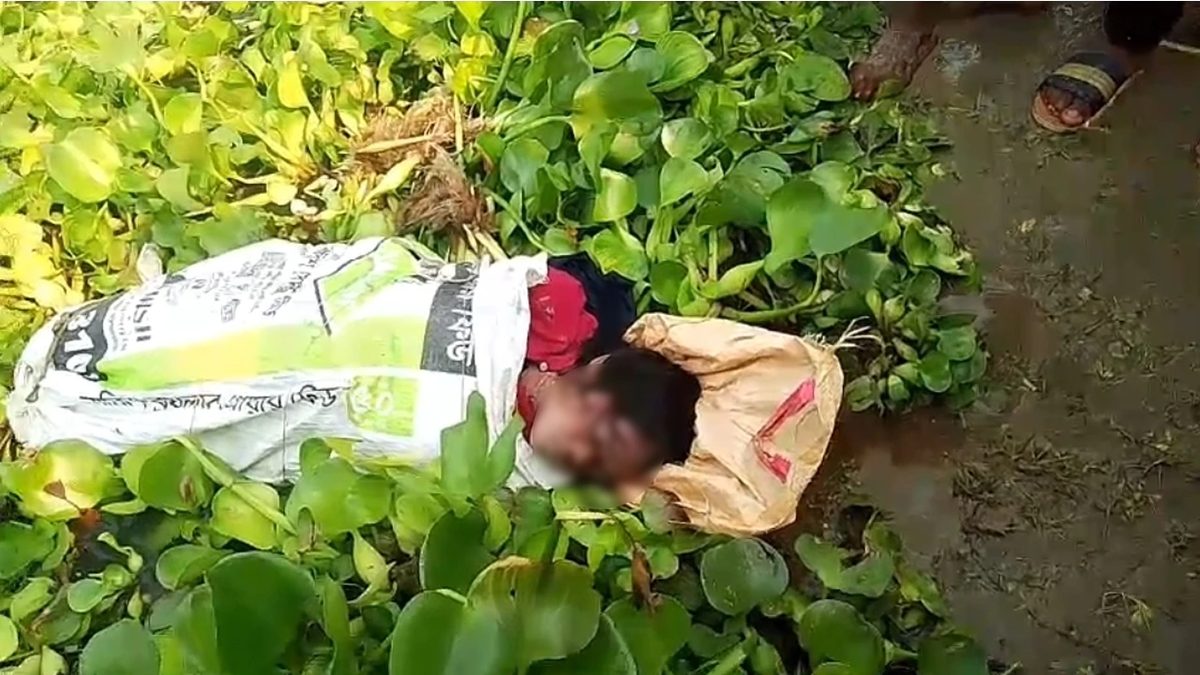 পদ্মা নদীতে বস্তায় মোড়ানো মেয়ে শিশুর মরদেহ উদ্ধার