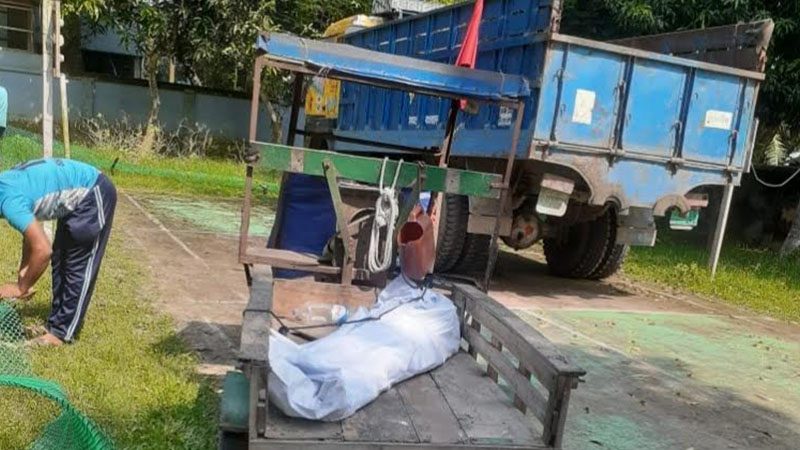 শ্বশুরবাড়িতে বেড়াতে এসে জামাইয়ের কাণ্ড