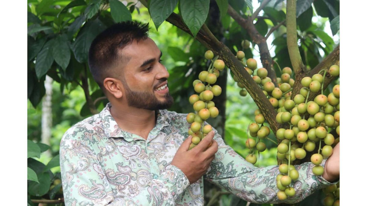 পঞ্চগড়ে লটকন চাষে সফল বিজিবি সদস্য রাসেল