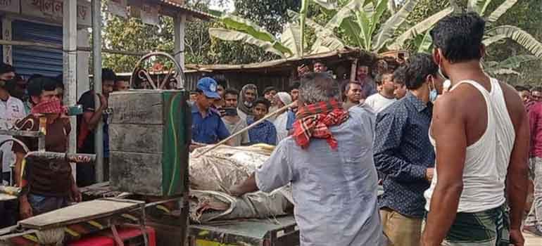 মুদি দোকানের মেঝের নিচে মিলল তরুণের লাশ
