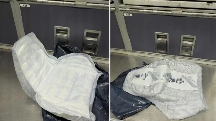 ডায়াপারকে বোমা ভেবে উড়োজাহাজের জরুরি অবতরণ