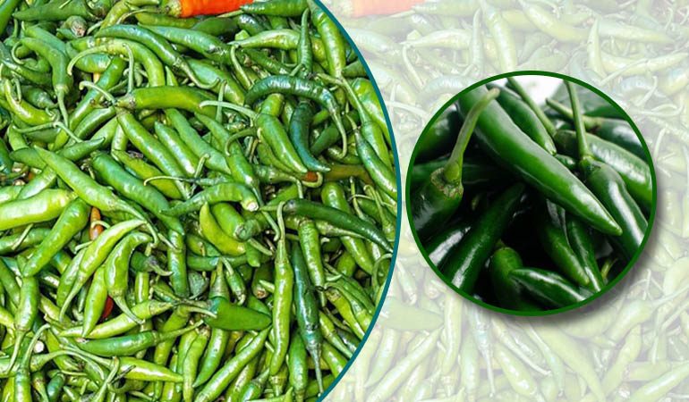 ৩০০ টাকার কাঁচামরিচ এখন ৪০