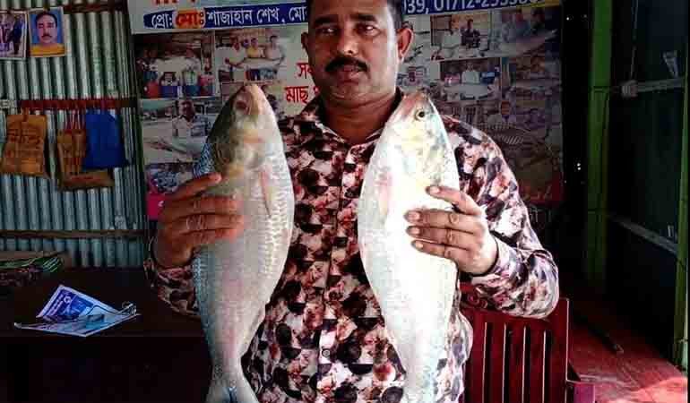 দুই ইলিশ বিক্রি ১৭২০০ টাকায়!