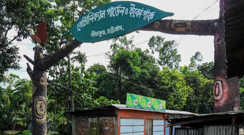 গলাকাটা অবস্থায় জঙ্গলে হাঁটছিল দ্বিতীয় শ্রেণির ছাত্রী, অতঃপর...