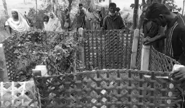 দুই কবর থেকে ১২টি কঙ্কাল চুরি