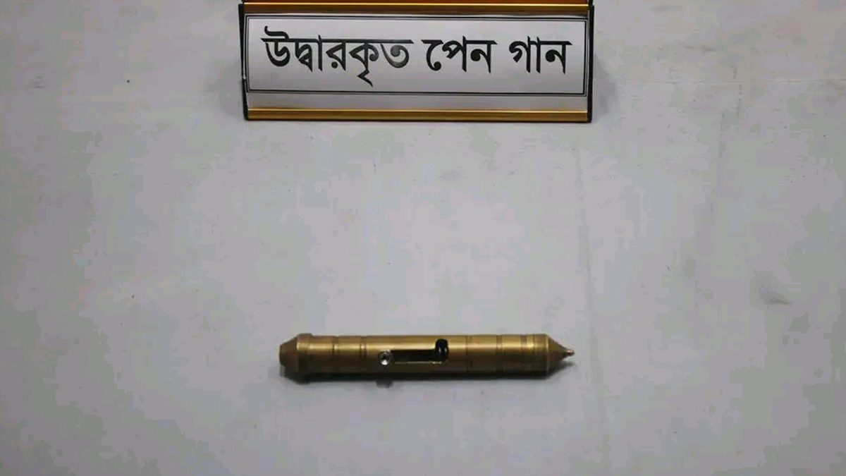 মুরগির ঘরের পেছনে রাখা ছিল ‘পেন গান’