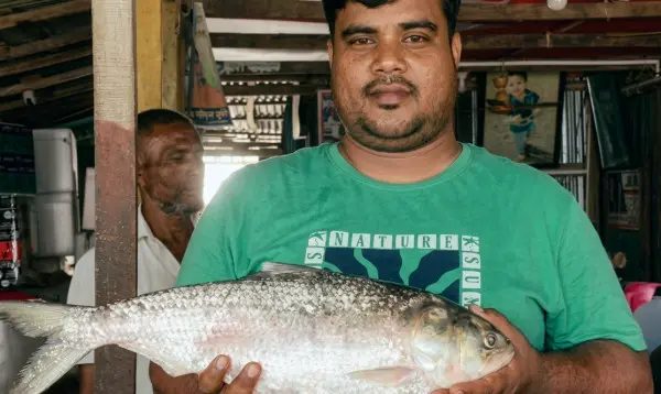 ভোলায় জেলের জালে রাজা ইলিশ, ৯ হাজার টাকায় বিক্রি