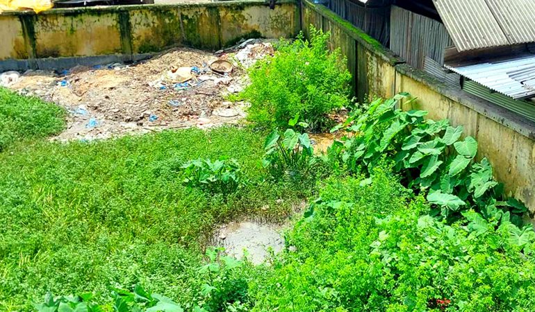দেবীগঞ্জ ভূমি অফিস যেন আবর্জনার ভাগাড়