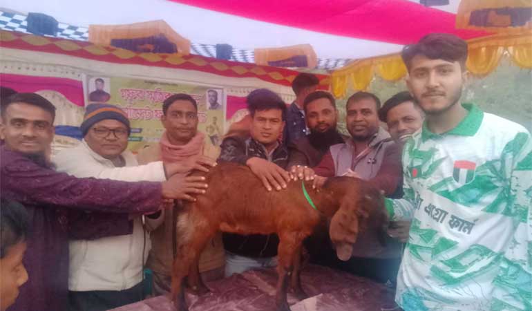 গফুর স্মৃতির ফুটবল টুর্নামেন্টের ফাইনাল খেলা অনুষ্ঠিত