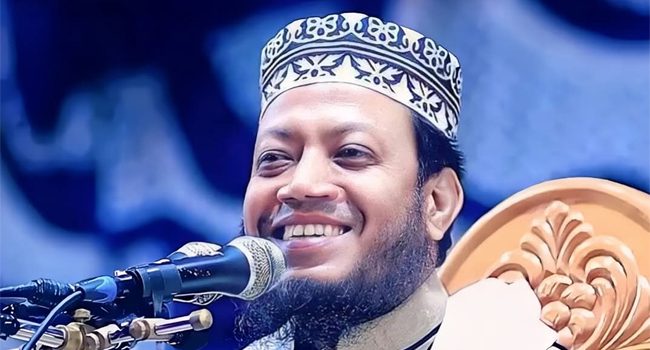 আগামী পাঁচ বছরে কুষ্টিয়া সদর আসনে আমিই প্রধানমন্ত্রী : আমির হামজা