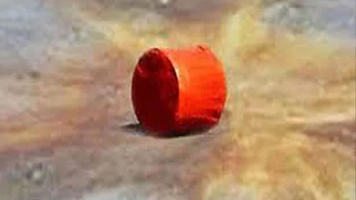 শাহবাগে এনসিপির জুলাই প্রদর্শনী চলাকালে ককটেল বিস্ফোরণ
