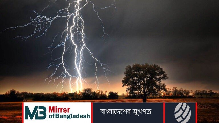 বজ্রপাতে দুই ভাইয়ের মৃত্যু