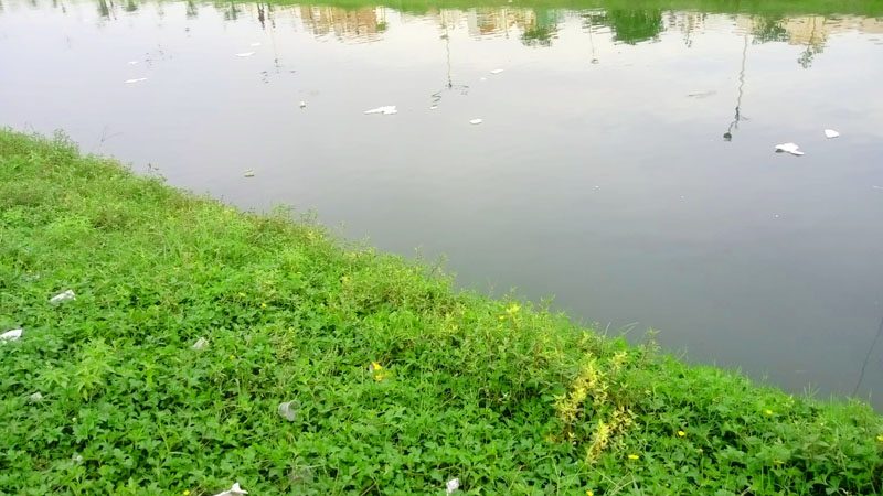 একাই গোসল করতে ৫ বছরের রুহুল পুকুরে, অতঃপর...