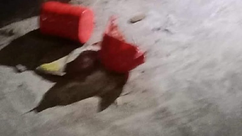 গাইবান্ধায় বিএনপি কার্যালয়ে হামলা,ককটেল বিস্ফোরণ
