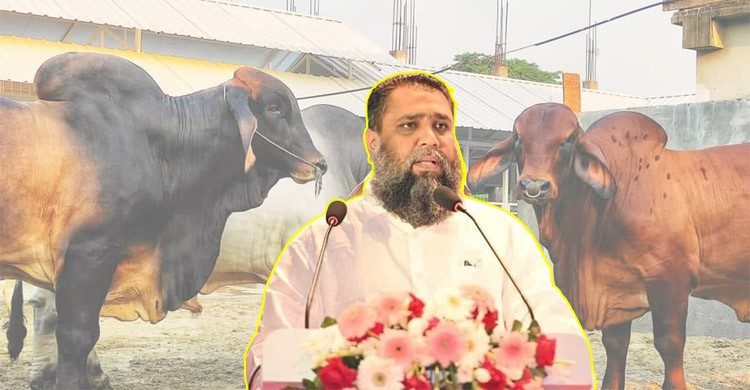 সাদিক এগ্রোর চেয়ারম্যান ইমরান গ্রেপ্তার