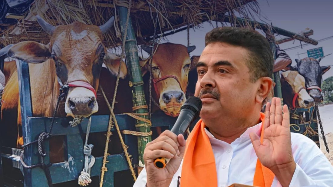 পশ্চিমবঙ্গে কোরবানির বাজারে হাহাকার, শিগগিরই সিদ্ধান্ত নেবেন শুভেন্দু