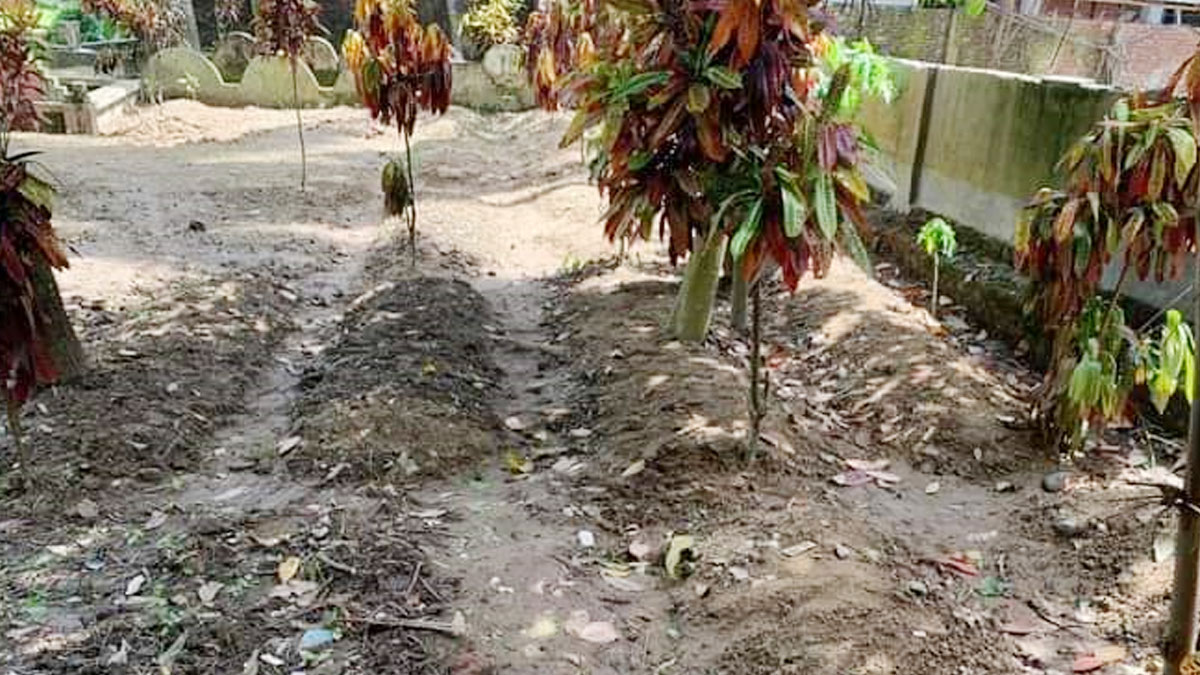 ফেসবুকে ১৬ কবরের ছবি, পরিচয় জানতে তদন্ত কমিটি