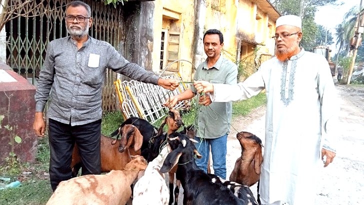 ১ বছর সাজা খেটে মুক্তি পেল ৯ ছাগল