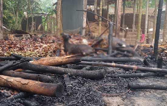 কুমারখালীতে আগুনে পুড়ে ছাই কৃষকের স্বপ্ন
