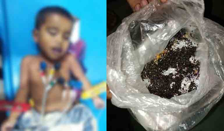 ভুট্টা ক্ষেতে দেওয়া বিষ মাখা খাবার খেয়ে শিশুর মৃত্যু