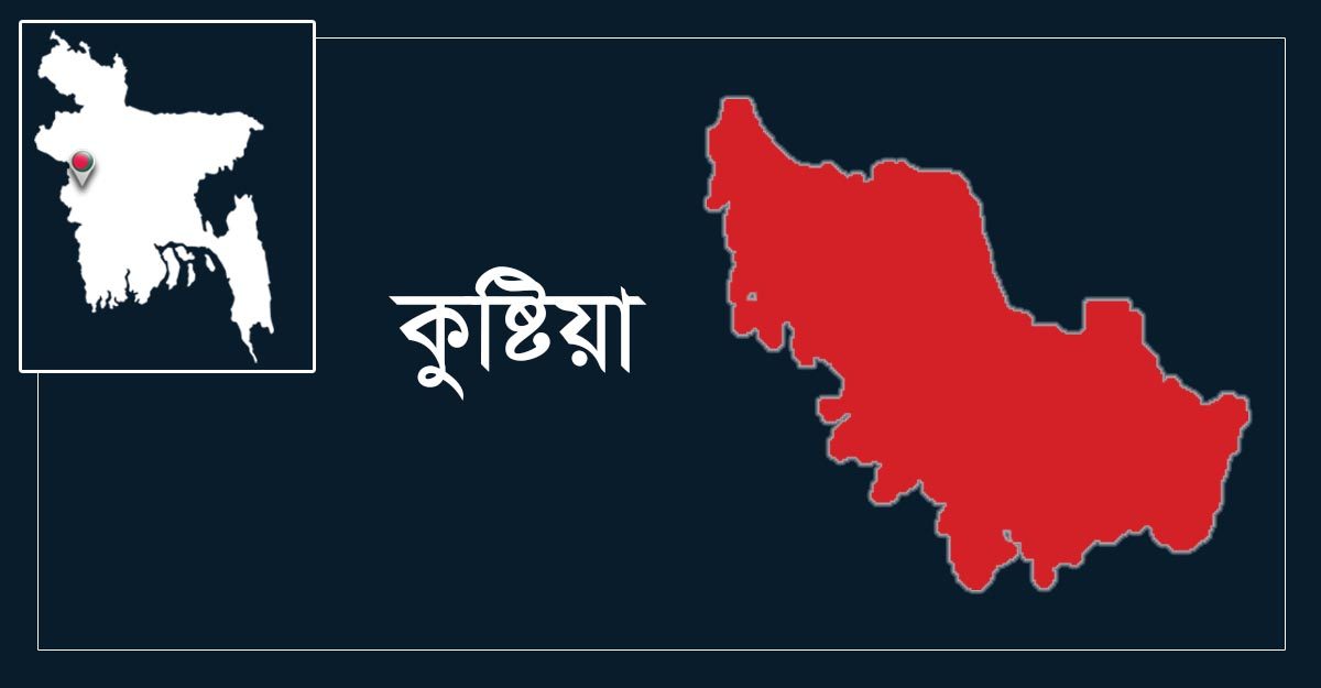 কুষ্টিয়ায় আ.লীগ নেতার নেতৃত্বে বিএনপি কর্মীকে কুপিয়ে জখম