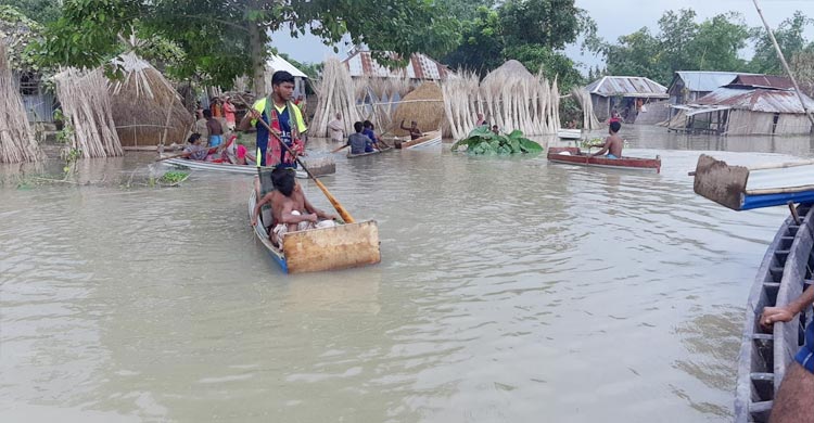 কুষ্টিয়ায় পদ্মা-গড়াই নদীর পানি বাড়ছে,বন্যার শঙ্কা