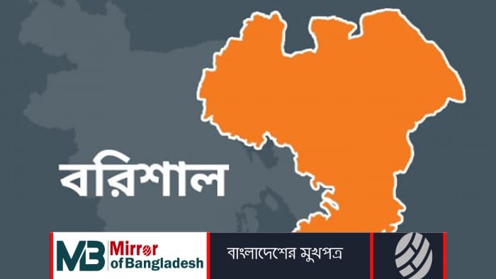 ক্লাস ফাঁকি দিয়ে টিকটক করায় ৩ ছাত্রীকে টিসি