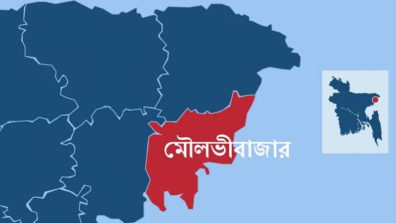 মসজিদের ভেতর ঢুকে মুসল্লিকে কুপিয়ে হত্যা