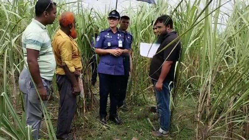 আখ ক্ষেত থেকে অটোরিকশা চালকের মরদেহ উদ্ধার