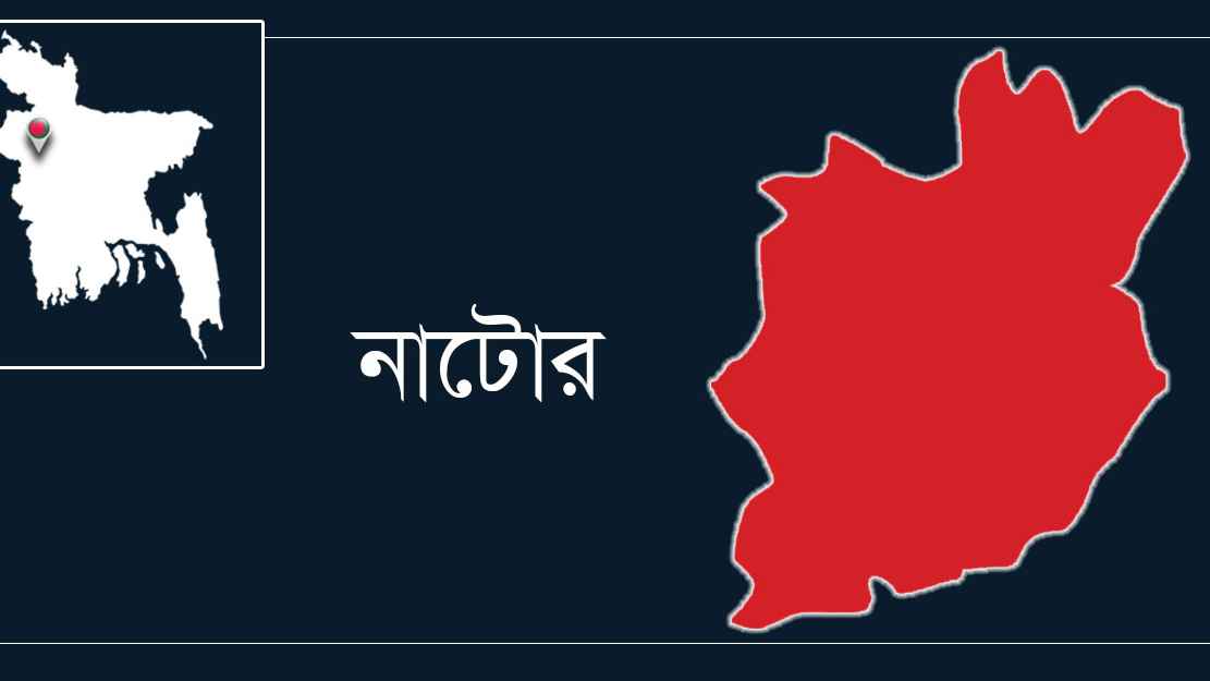 নাটোরে ব্রিজের রেলিংয়ে মোটরসাইকেলের ধাক্কা, নিহত ১