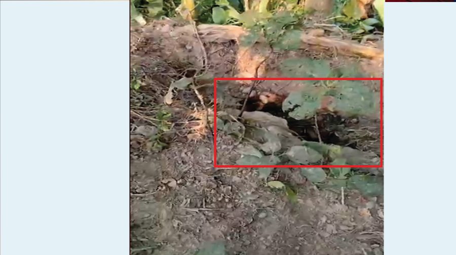 ময়মনসিংহে গর্ত থেকে দুই শিশুসহ নারীর মরদেহ উদ্ধার