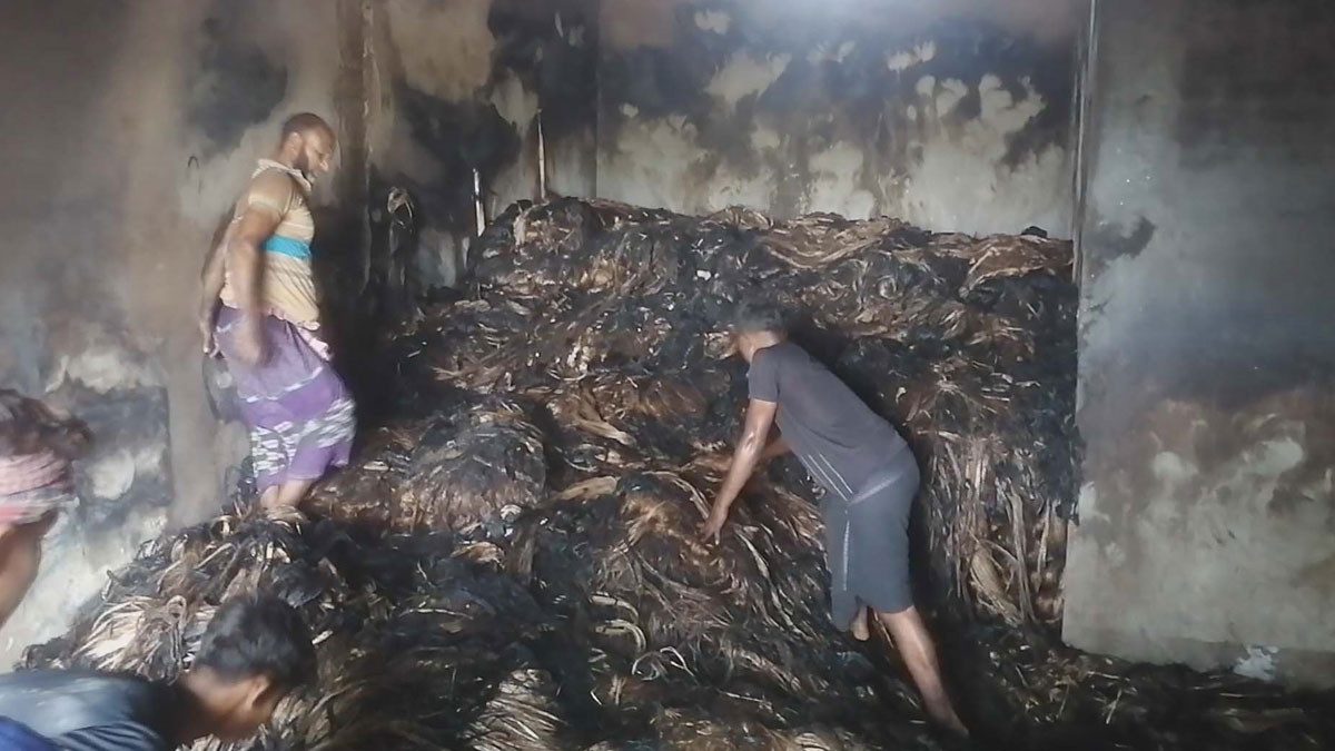 আগুনে পুড়ে ছাই হলো ব্যবসায়ীর ৯০০ মণ পাট